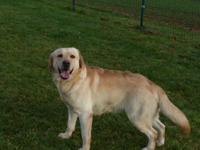 Tabasco des graffitis de la lauzerie