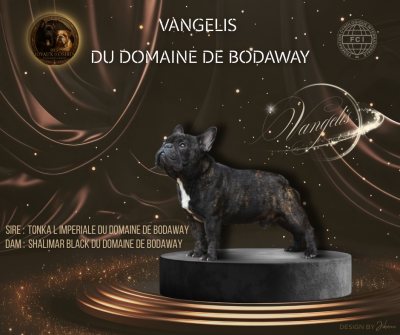 VANGELIS du domaine de Bodaway