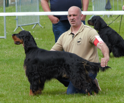 https://chiens-de-france.com/photo/chiens/2025_12/tn200/TN200_20251224173202694c15826359c.png