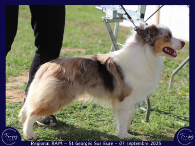 Vivaldi De L'Atoll De Tik?hau
