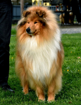 TOO MUCH HEAVEN Du Clos De Seawind