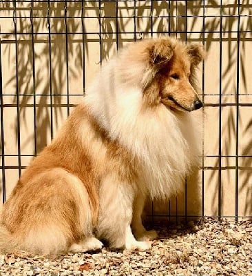 Veni vidi vici Des Conqu?tes De Don Juan