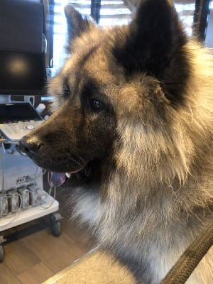 Rio Du Souvenir De Tootsie