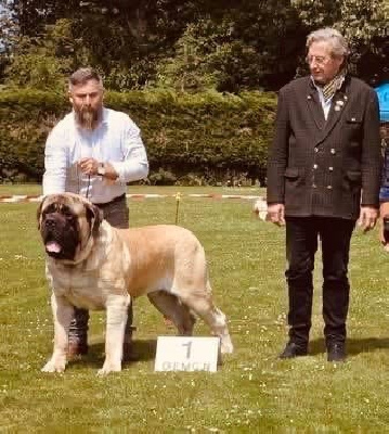 Vinicio del fracasso