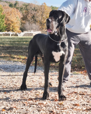 Oyametepek Dell'Alto Feudo Dell'alto Feudo