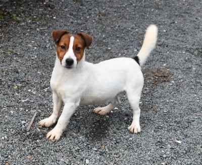 Valdo du pont du riot d'Esnes