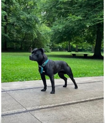 Rider Du Royaume De Babylone