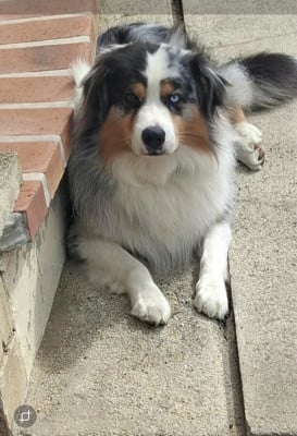 TWISTER de l'opalyne des pierres pr?cieuses