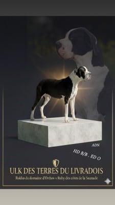 Ulk Des Terres Du Livradois