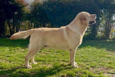 A Sense Of Pleasure's Road Runner a sense of pleasure's road runner