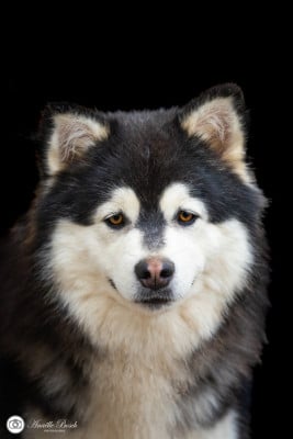 Uno De L'Univers De Minima