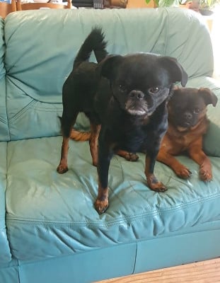 Sushi du Domaine des Cotieres