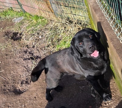 Tinder De L'Etang Balancet