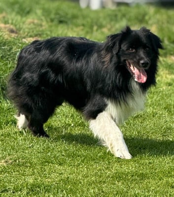 We don't Talk About Bruno Ukko des Jardins de Persephone