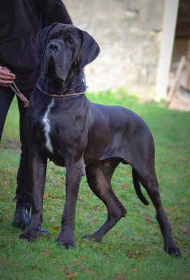 Franklin Modry Efekt modry efekt