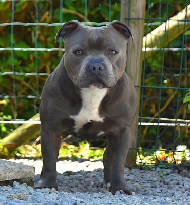 The fun-ky Soul Of Dinam