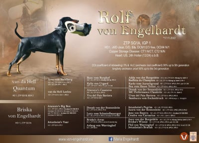 Rolf von Engelhardt