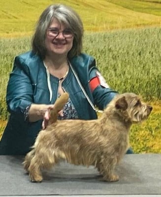 CH. allright Sweet scotch