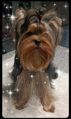 MADE IN MEASURE REY BAN REY BAN