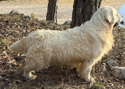 right hunter Freedom paradise