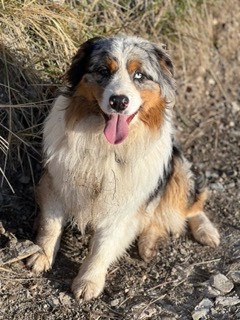 TWIST ON THE ICE de la ferme de l'autre monde