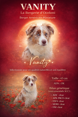https://chiens-de-france.com/photo/chiens/2026_03/tn200/TN200_2026041922022069e534cc8a9e4.png