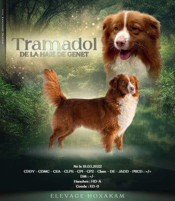 Tramadol de la Haye de genet De La Haye De Genet