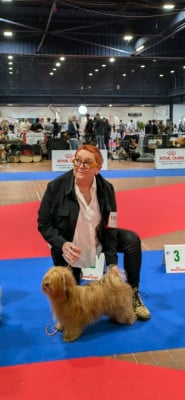 https://chiens-de-france.com/photo/chiens/2026_04/tn200/TN200_2026040819240869d68f3840928.jpg