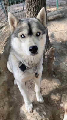 Ultra Des Loups Du Luberon