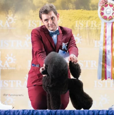 https://chiens-de-france.com/photo/chiens/2026_05/tn200/TN200_202605252226306a14b076a81af.jpg