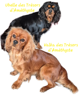 VALKA des Trésors d'Amethyste