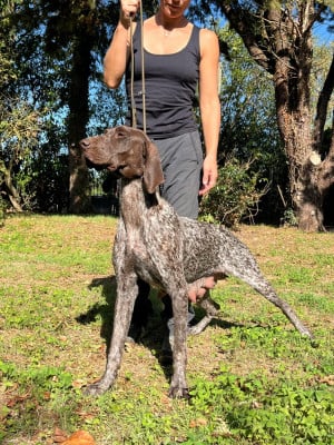 https://chiens-de-france.com/photo/chiens/2026_05/tn200/TN200_202608291816096a9305c9c074d.jpg