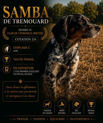 https://chiens-de-france.com/photo/chiens/2026_06/tn200/TN200_202606081559336a26cac570a15.jpg