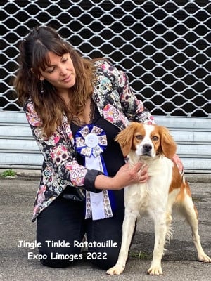 https://chiens-de-france.com/photo/chiens/2026_06/tn200/TN200_202606181625066a33ffc22cb39.jpg