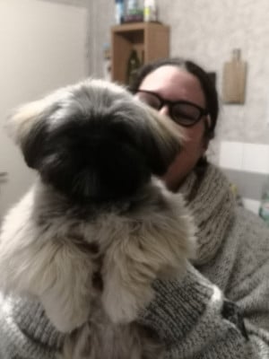 https://chiens-de-france.com/photo/chiens/2026_07/tn200/TN200_202607071230396a4cd54fb3249.jpg