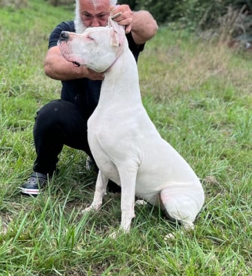 https://chiens-de-france.com/photo/chiens/2026_07/tn200/TN200_202607091301266a4f7f8662875.jpg