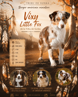https://chiens-de-france.com/photo/chiens/2026_08/tn200/TN200_202608141817316a7f3f9bdae82.png