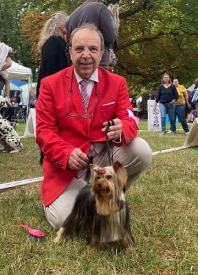 https://chiens-de-france.com/photo/chiens/2026_08/tn200/TN200_202608151647206a807bf8cd10b.jpg