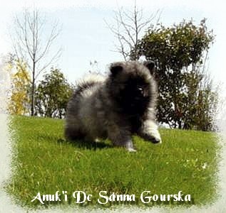 Anuk'i De sanna gourska