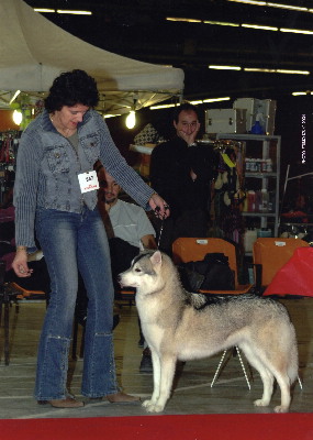 Unladylake dite lady des reves de neige