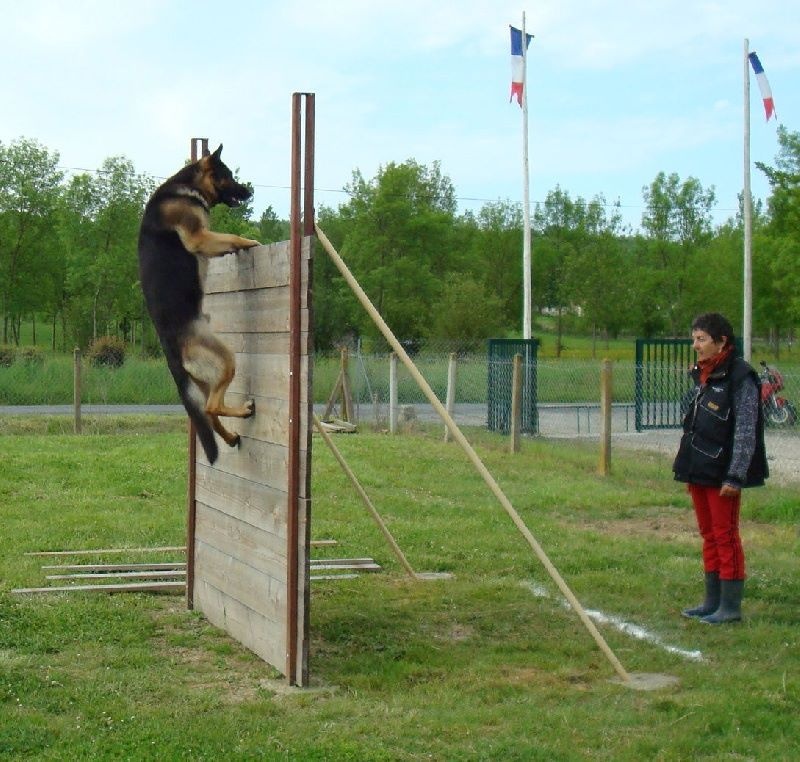 U.f.o de la Forêt aux Elfes