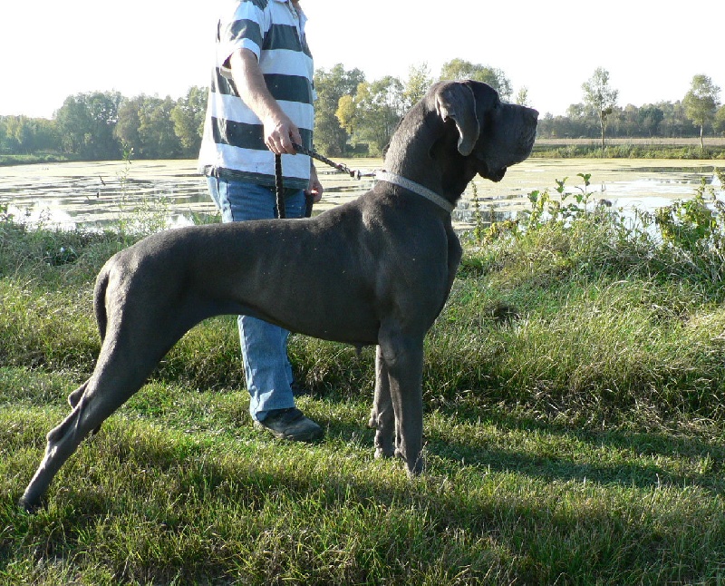 Valse in Blue du mont Toise