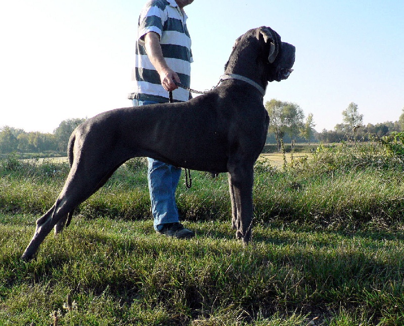 Valse in Blue du mont Toise