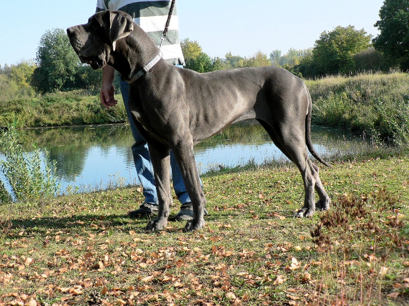 Valse in Blue du mont Toise