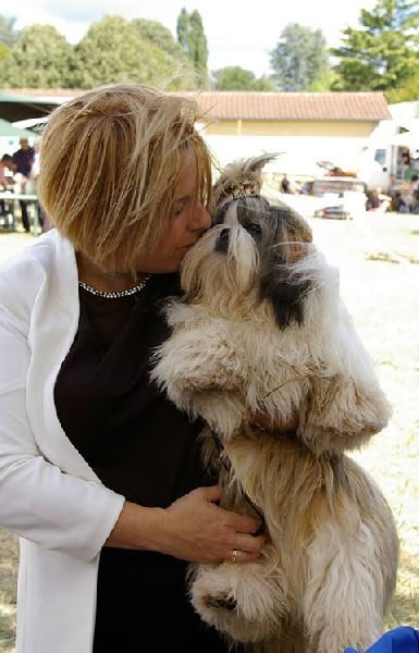 CH. Hatchi du lac de Cupidon