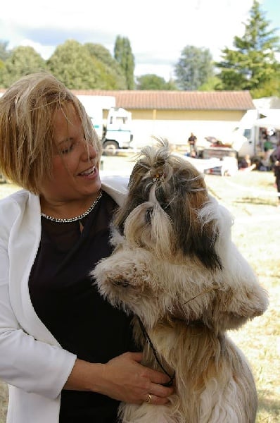 CH. Hatchi du lac de Cupidon