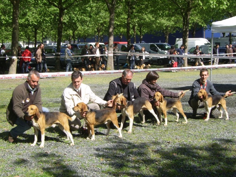 Ecuye de l'echo de la taille du ros