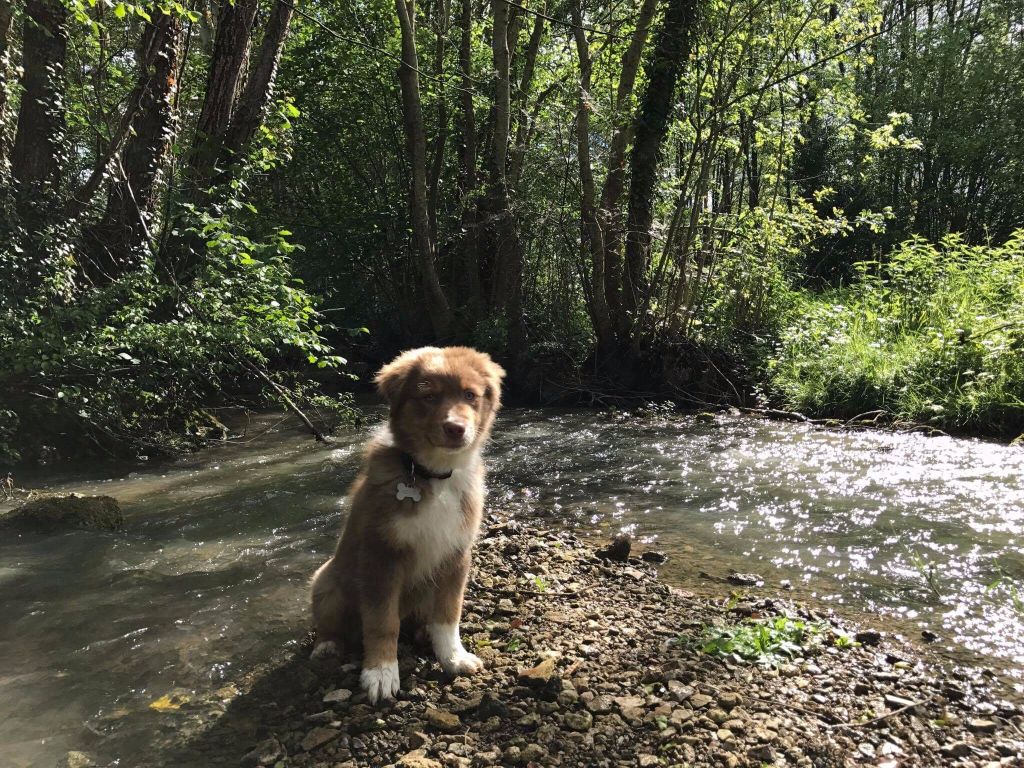 NeÏko Des plaines du Montois