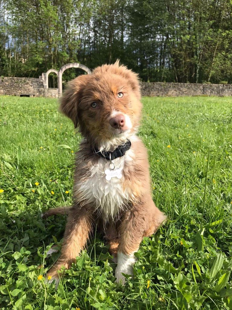 NeÏko Des plaines du Montois