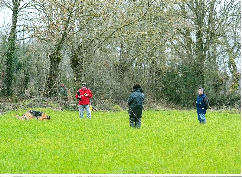 CH. Triumph du Domaine de La Sauleraie